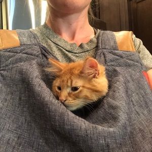 Meet your Posher, Sarah